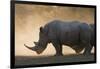 White rhinoceros (Ceratotherium simum), Kalahari, Botswana, Africa-Sergio Pitamitz-Framed Photographic Print