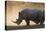 White rhinoceros (Ceratotherium simum), Kalahari, Botswana, Africa-Sergio Pitamitz-Stretched Canvas