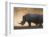 White rhinoceros (Ceratotherium simum), Kalahari, Botswana, Africa-Sergio Pitamitz-Framed Premium Photographic Print