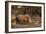 White rhinoceros (Ceratotherium simum), Kalahari, Botswana, Africa-Sergio Pitamitz-Framed Photographic Print