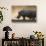 White rhinoceros (Ceratotherium simum), Kalahari, Botswana, Africa-Sergio Pitamitz-Stretched Canvas displayed on a wall