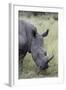 White Rhinoceros (Ceratotherium Simum), Kruger National Park, South Africa, Africa-James Hager-Framed Photographic Print