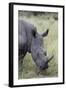 White Rhinoceros (Ceratotherium Simum), Kruger National Park, South Africa, Africa-James Hager-Framed Photographic Print