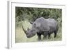 White Rhinoceros (Ceratotherium Simum), Kruger National Park, South Africa, Africa-James Hager-Framed Photographic Print