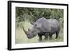 White Rhinoceros (Ceratotherium Simum), Kruger National Park, South Africa, Africa-James Hager-Framed Photographic Print