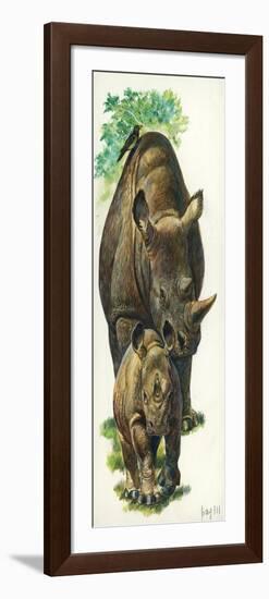 White Rhinoceros Ceratotherium Simum with a Young-null-Framed Giclee Print