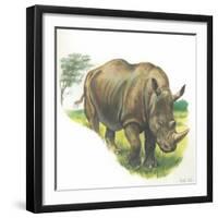 White Rhinoceros Ceratotherium Simum-null-Framed Giclee Print