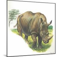 White Rhinoceros Ceratotherium Simum-null-Mounted Giclee Print