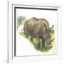 White Rhinoceros Ceratotherium Simum-null-Framed Giclee Print