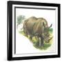 White Rhinoceros Ceratotherium Simum-null-Framed Giclee Print