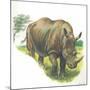 White Rhinoceros Ceratotherium Simum-null-Mounted Giclee Print