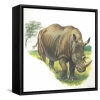 White Rhinoceros Ceratotherium Simum-null-Framed Stretched Canvas