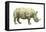 White Rhinoceros (Ceratotherium Simus), Mammals-Encyclopaedia Britannica-Framed Stretched Canvas