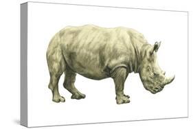 White Rhinoceros (Ceratotherium Simus), Mammals-Encyclopaedia Britannica-Stretched Canvas