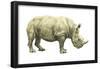 White Rhinoceros (Ceratotherium Simus), Mammals-Encyclopaedia Britannica-Framed Poster