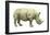 White Rhinoceros (Ceratotherium Simus), Mammals-Encyclopaedia Britannica-Framed Poster