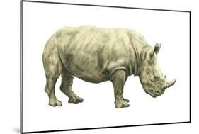 White Rhinoceros (Ceratotherium Simus), Mammals-Encyclopaedia Britannica-Mounted Poster