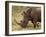 White Rhinoceros (Cerototherium Simium), Masai Mara, Kenya, East Africa, Africa-Sergio Pitamitz-Framed Photographic Print