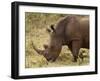 White Rhinoceros (Cerototherium Simium), Masai Mara, Kenya, East Africa, Africa-Sergio Pitamitz-Framed Photographic Print