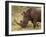 White Rhinoceros (Cerototherium Simium), Masai Mara, Kenya, East Africa, Africa-Sergio Pitamitz-Framed Photographic Print