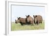 White Rhinoceros, Kenya-Martin Zwick-Framed Photographic Print