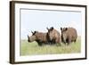 White Rhinoceros, Kenya-Martin Zwick-Framed Photographic Print