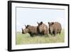 White Rhinoceros, Kenya-Martin Zwick-Framed Photographic Print