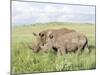 White Rhinoceros, Kenya-Martin Zwick-Mounted Photographic Print