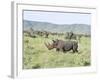 White Rhinoceros, Kenya-Martin Zwick-Framed Photographic Print