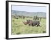 White Rhinoceros, Kenya-Martin Zwick-Framed Photographic Print