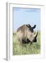 White Rhinoceros, Kenya-Martin Zwick-Framed Photographic Print