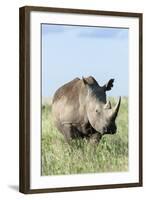 White Rhinoceros, Kenya-Martin Zwick-Framed Photographic Print