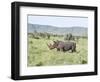 White Rhinoceros, Kenya-Martin Zwick-Framed Photographic Print