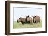 White Rhinoceros, Kenya-Martin Zwick-Framed Photographic Print