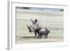 White Rhinoceros Mother with Calf, Kenya-Martin Zwick-Framed Photographic Print