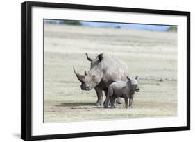 White Rhinoceros Mother with Calf, Kenya-Martin Zwick-Framed Photographic Print