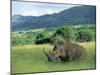 White Rhinoceros (Rhino), Ceratherium Sumum, Itala Game Reserve, Kwazulu-Natal, South Africa-Ann & Steve Toon-Mounted Photographic Print