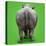 White Rhinoceros View of Animal from Behind-null-Stretched Canvas