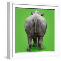 White Rhinoceros View of Animal from Behind-null-Framed Photographic Print