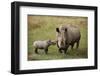 White Rhinoceros with Calf-W. Perry Conway-Framed Premium Photographic Print