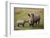 White Rhinoceros with Calf-W. Perry Conway-Framed Premium Photographic Print