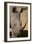 White Rhinoceros-DLILLC-Framed Photographic Print