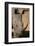 White Rhinoceros-DLILLC-Framed Photographic Print