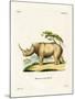 White Rhinoceros-null-Mounted Giclee Print
