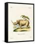 White Rhinoceros-null-Framed Stretched Canvas