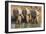 White Rhinos (Ceratotherium Simum) Drinking, Mkhuze Game Reserve, Kwazulu-Natal-Ann & Steve Toon-Framed Photographic Print