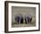 White Rhinos in African Plain, Kenya-Charles Sleicher-Framed Photographic Print