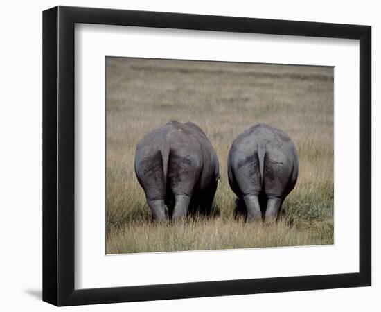 White Rhinos in African Plain, Kenya-Charles Sleicher-Framed Photographic Print