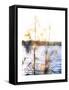 White Rock Sunset I-Sonja Quintero-Framed Stretched Canvas