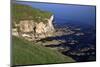 White Rocks, Portrush, County Antrim, Ulster, Northern Ireland, United Kingdom, Europe-Carsten Krieger-Mounted Photographic Print